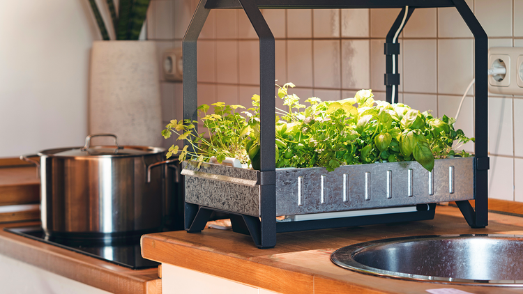 Small-Space-Gardening-Hydroponics Compact Habitat