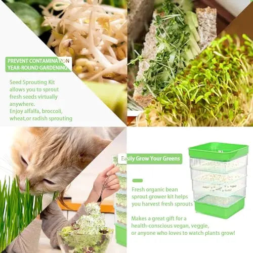 PHAIN 4-Tier Seed Sprouting Kit with Drain Holes and Drain Tray, Upgrade Stackable Microgreens Fresh Organic Bean Seed Sprouter Tray Ripple Soil-Free Sprouter Tray for Beans Alfalfa Seeds PHAIN