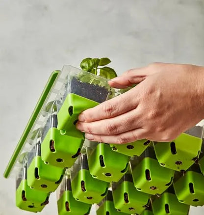 Burpee SuperSeed Seed Starting Tray | 16 XL Cell | Reusable & Dishwasher Safe | for Starting Vegetable Seeds, Flower Seeds & Herb Seeds | Indoor Grow Kit for Deep-Rooted Seedlings, Green Burpee