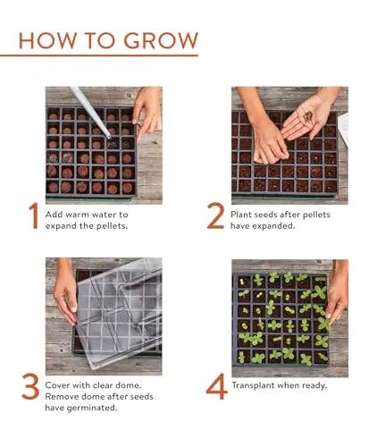 Burpee Greenhouse Indoor Starting Herbs, Flowers and Vegetables | Includes Dome, Watering, Seed Starter Tray, Coir Pellets | 10" W x 20" L x 5" H, One Size, 1 Kit (72 Cells) Burpee