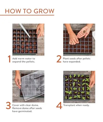 Burpee Greenhouse Indoor Starting Herbs, Flowers and Vegetables | Includes Dome, Watering, Seed Starter Tray, Coir Pellets | 10" W x 20" L x 5" H, One Size, 1 Kit (72 Cells) Burpee