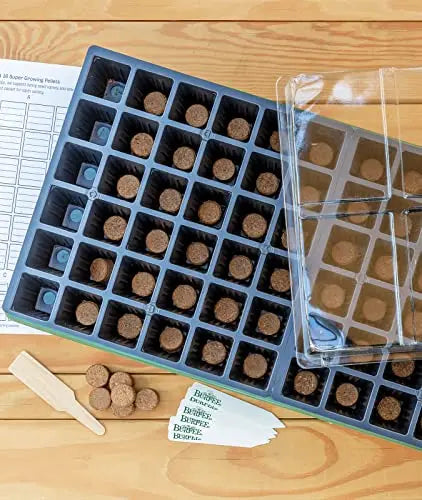 Burpee Greenhouse Indoor Starting Herbs, Flowers and Vegetables | Includes Dome, Watering, Seed Starter Tray, Coir Pellets | 10" W x 20" L x 5" H, One Size, 1 Kit (72 Cells) Burpee