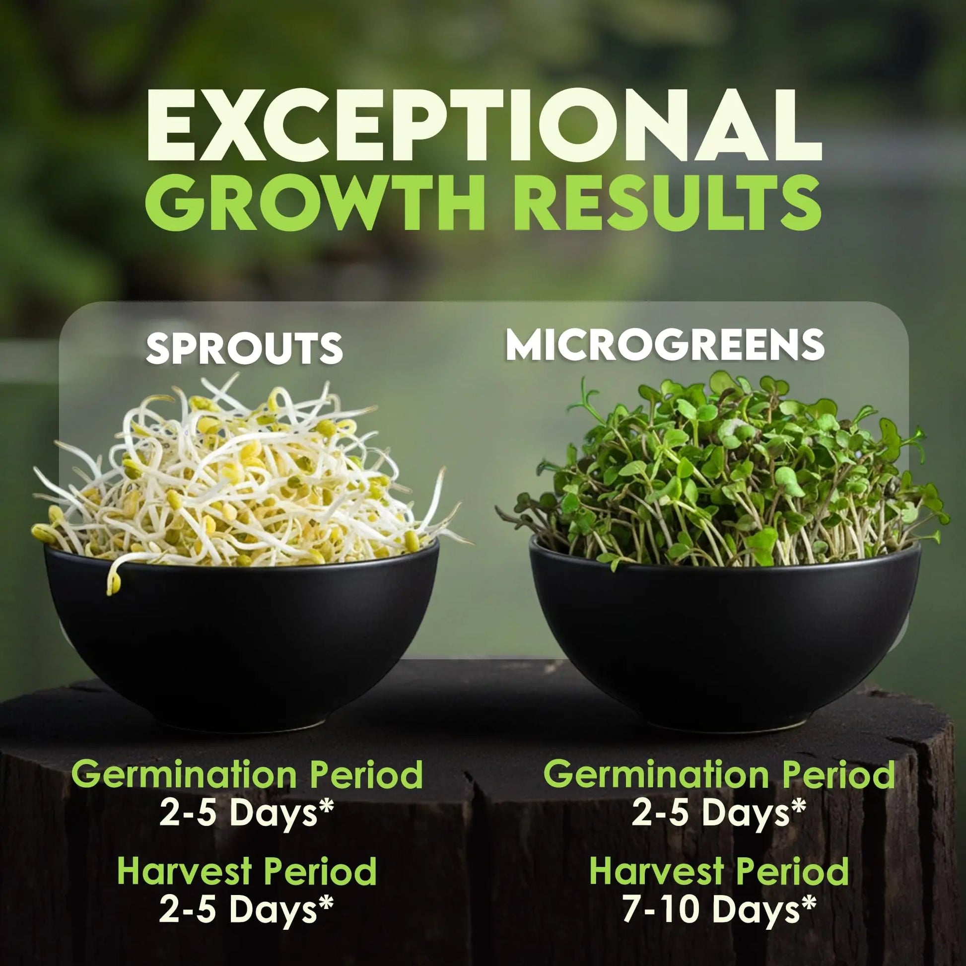 Nature Jims Sprouts Organic Salad Mix – Non-GMO Microgreen Seeds for Growing – Healthy Broccoli, Alfalfa, Radish & Clover Sprouting Variety Blend – Microgreens & Sprouts Seeds for Home Gardening – 1lb Nature Jims Sprouts
