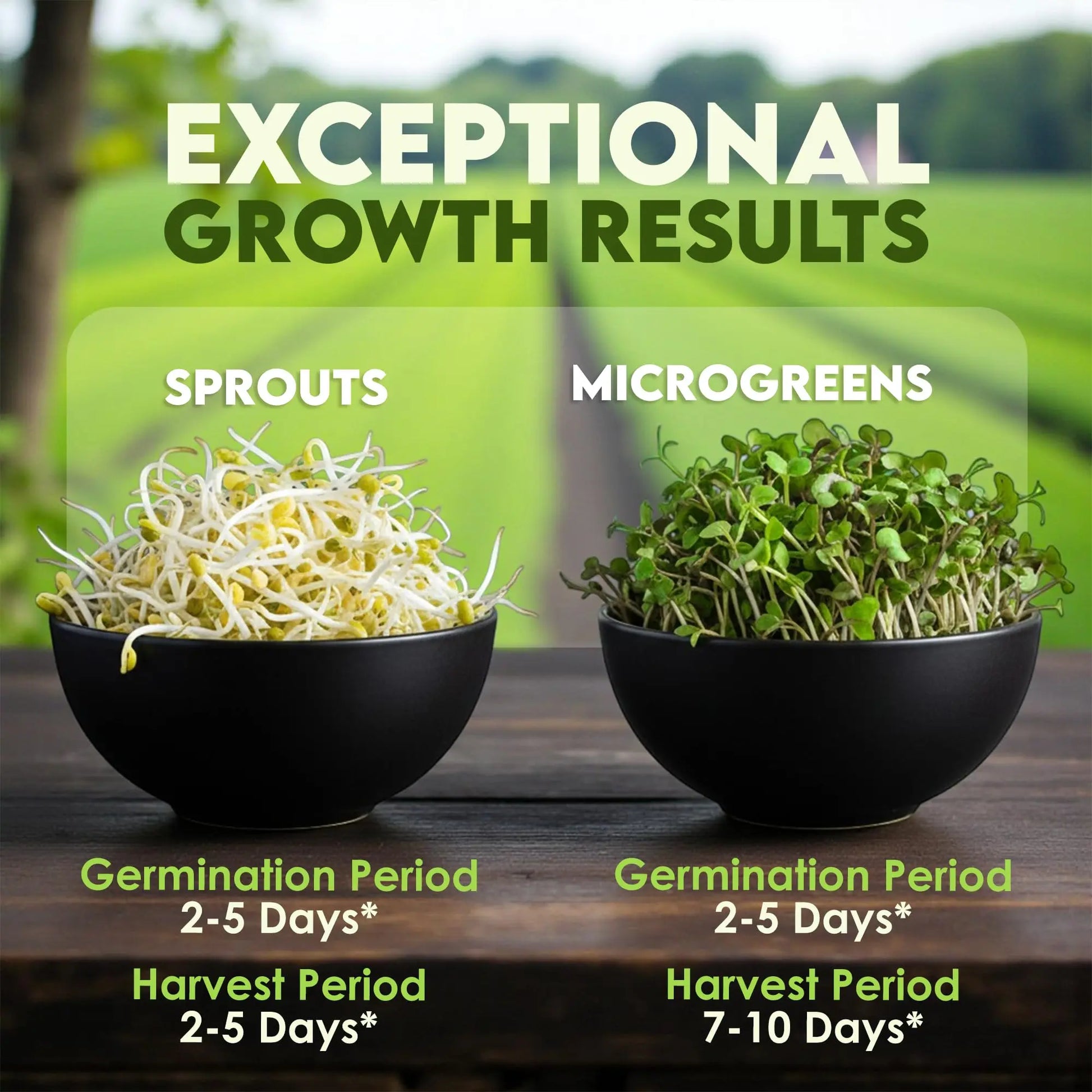 Nature Jims Sprouts Organic Broccoli Seeds for Sprouting – Certified Non-GMO, Rich in Sulforaphane, Swift-Growing Microgreen Seeds for Nutritious Broccoli Sprouts – Ideal for Indoor/Outdoor Use – 8oz Nature Jims Sprouts