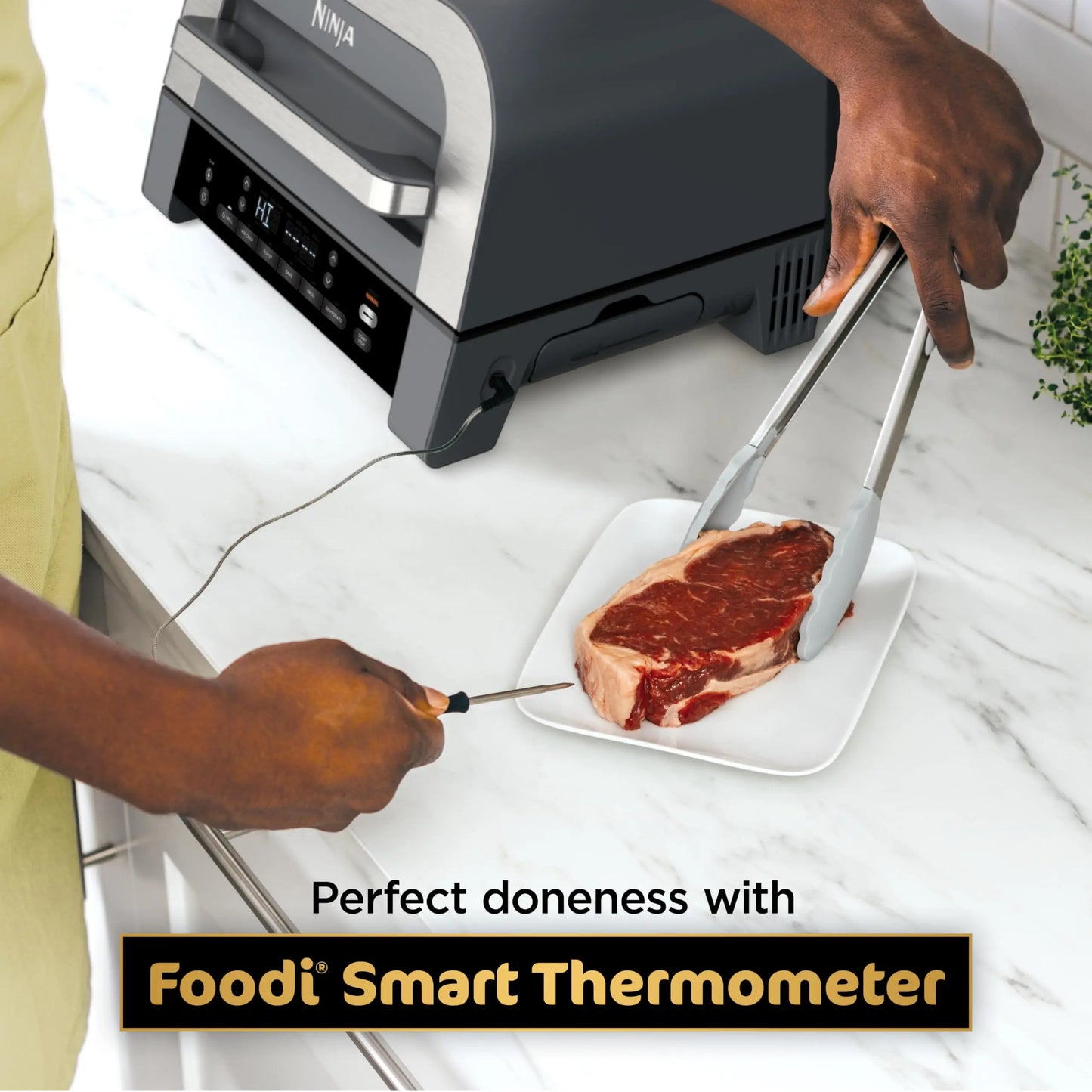 Ninja DG551 Foodi Smart XL 6-in-1 Indoor Grill with Air Fry, Roast, Bake, Broil, & Dehydrate, Foodi Smart Thermometer, 2nd Generation, Black/Silver Ninja
