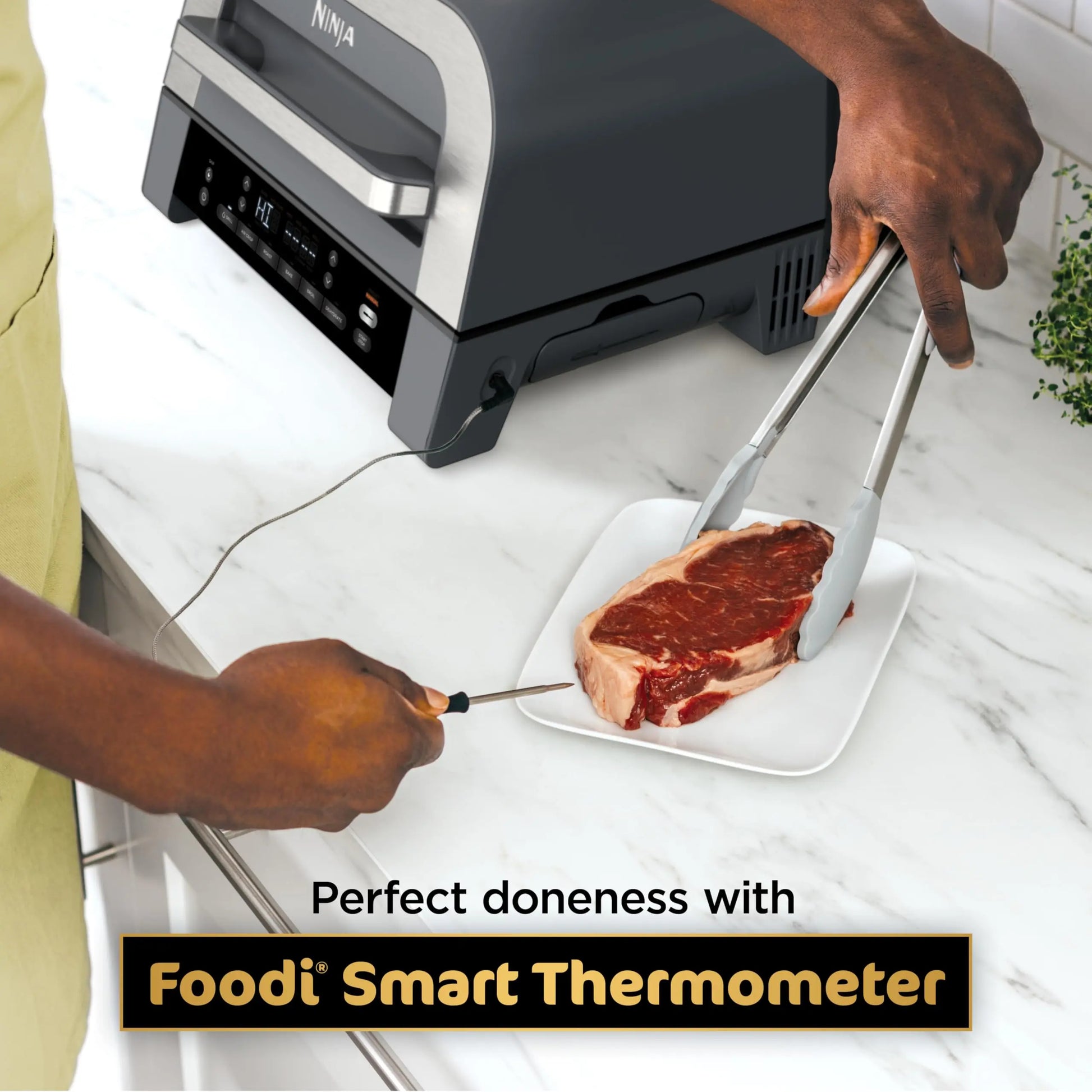 Ninja DG551 Foodi Smart XL 6-in-1 Indoor Grill with Air Fry, Roast, Bake, Broil, & Dehydrate, Foodi Smart Thermometer, 2nd Generation, Black/Silver Ninja