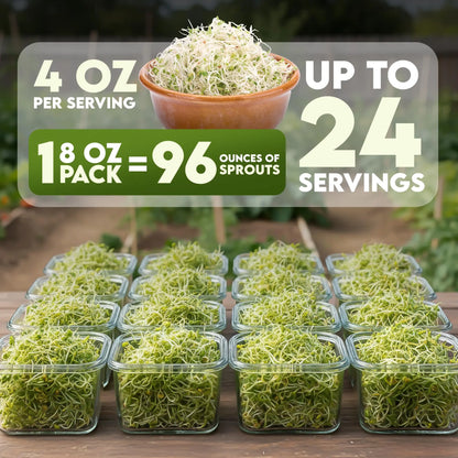 Nature Jims Sprouts Organic Broccoli Seeds for Sprouting – Certified Non-GMO, Rich in Sulforaphane, Swift-Growing Microgreen Seeds for Nutritious Broccoli Sprouts – Ideal for Indoor/Outdoor Use – 8oz Nature Jims Sprouts