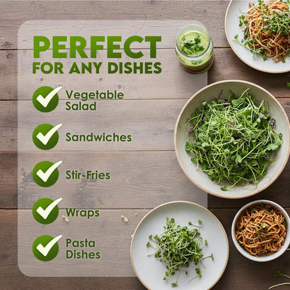 Nature Jims Sprouts Organic Broccoli Seeds for Sprouting – Certified Non-GMO, Rich in Sulforaphane, Swift-Growing Microgreen Seeds for Nutritious Broccoli Sprouts – Ideal for Indoor/Outdoor Use – 8oz Nature Jims Sprouts