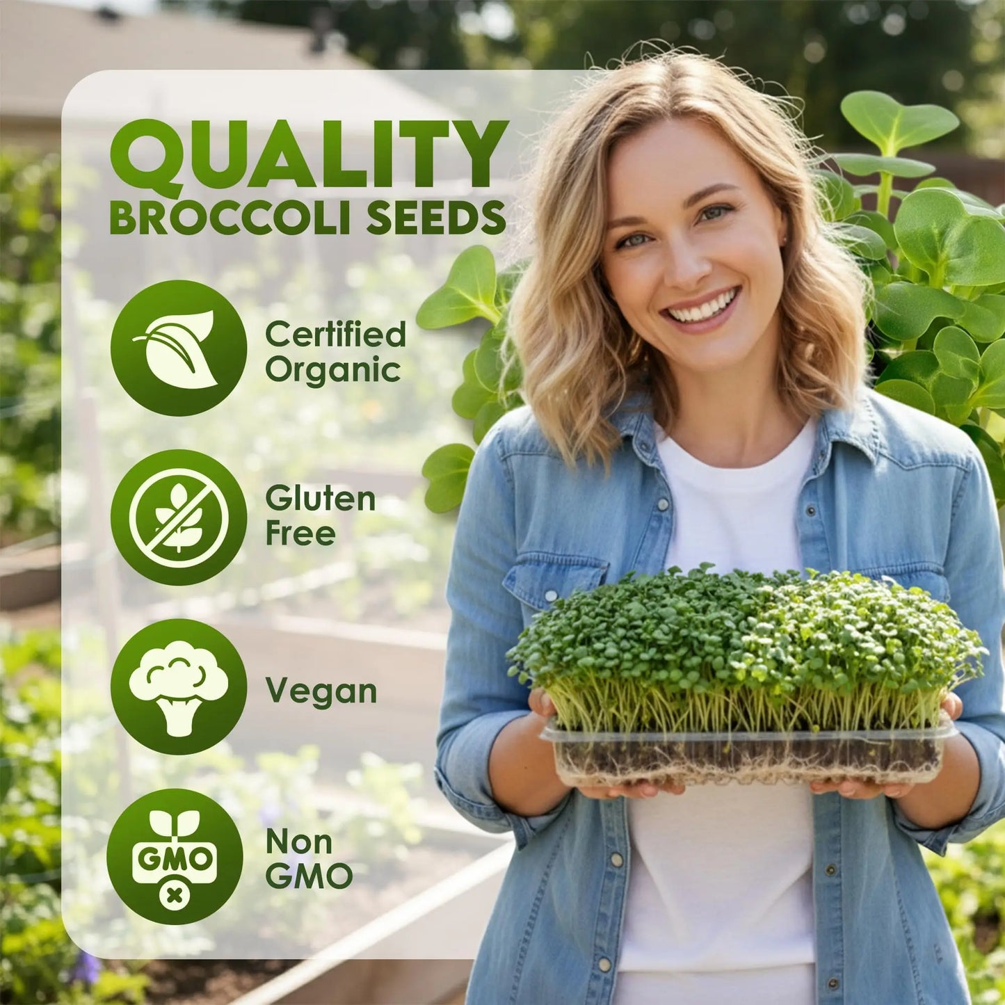 Nature Jims Sprouts Organic Broccoli Seeds for Sprouting – Certified Non-GMO, Rich in Sulforaphane, Swift-Growing Microgreen Seeds for Nutritious Broccoli Sprouts – Ideal for Indoor/Outdoor Use – 8oz Nature Jims Sprouts