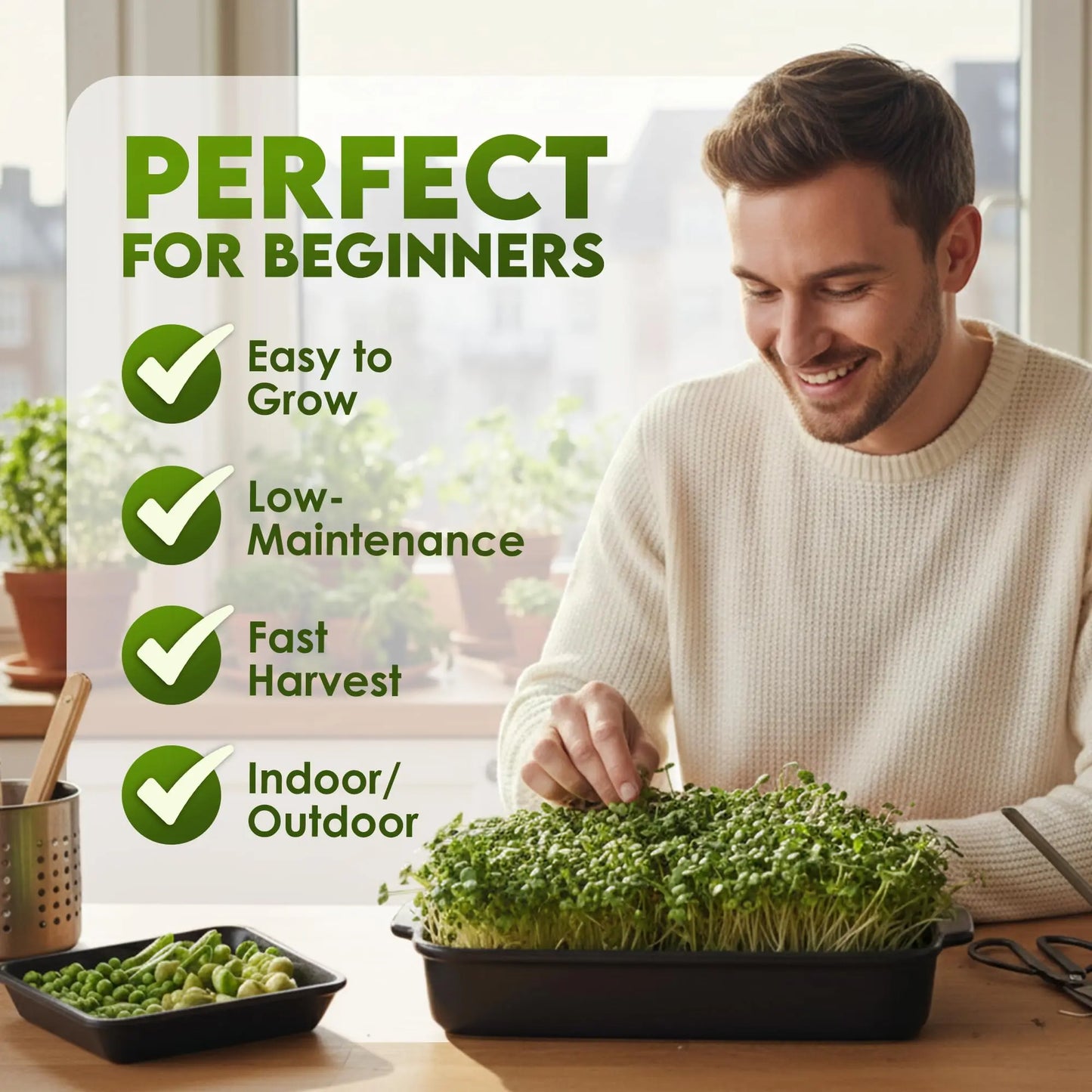 Nature Jims Sprouts Organic Salad Mix – Non-GMO Microgreen Seeds for Growing – Healthy Broccoli, Alfalfa, Radish & Clover Sprouting Variety Blend – Microgreens & Sprouts Seeds for Home Gardening – 1lb Nature Jims Sprouts