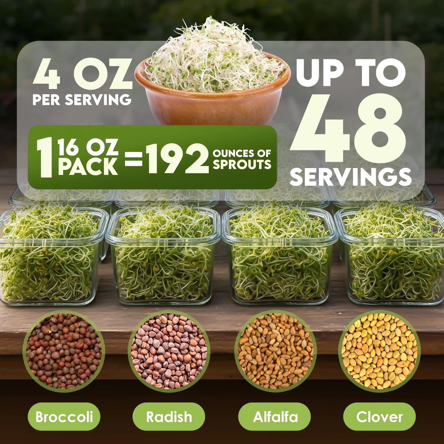 Nature Jims Sprouts Organic Salad Mix – Non-GMO Microgreen Seeds for Growing – Healthy Broccoli, Alfalfa, Radish & Clover Sprouting Variety Blend – Microgreens & Sprouts Seeds for Home Gardening – 1lb Nature Jims Sprouts
